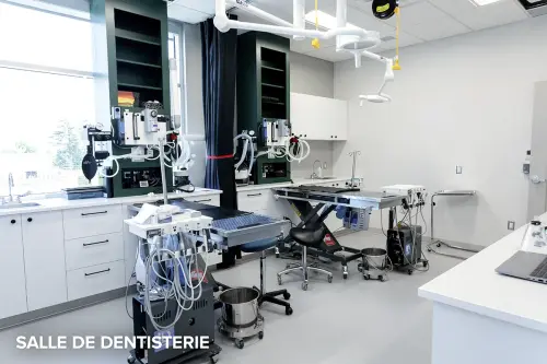 SALLE-DE-DENTISTERIE CSA 2024-23-Revised