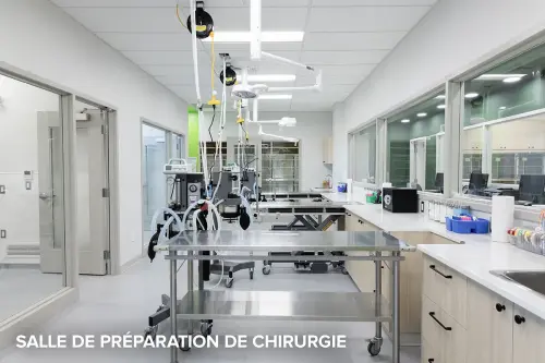 SALLE-DE-PREPARATION-DE-CHIRURGIE CSA 2024-18-Revised